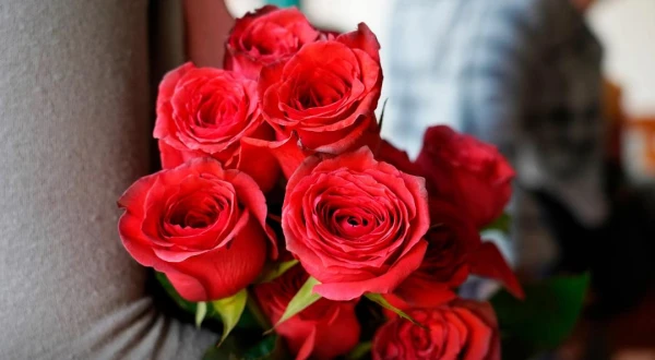 Rosas Rojas Importadas's foto | Floristería Astra Bloom |  BizneCubano