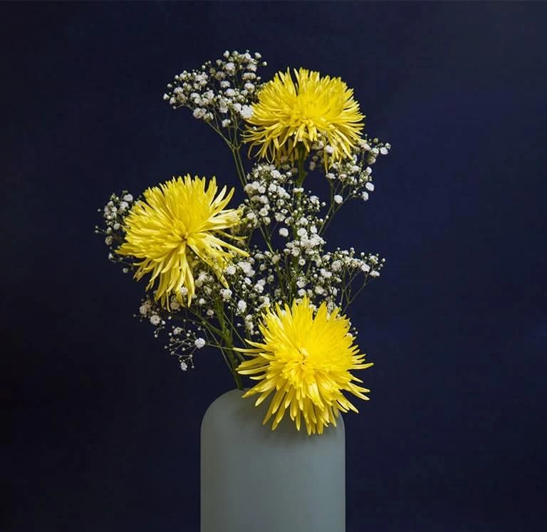 Crisantemos Importados's foto | Floristería Astra Bloom |  BizneCubano