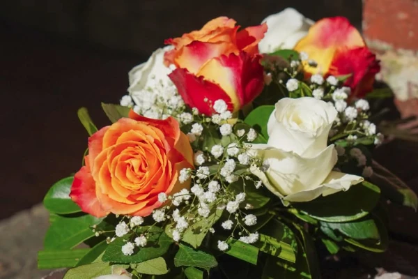 Rosas Matizadas's foto | Floristería Astra Bloom |  BizneCubano